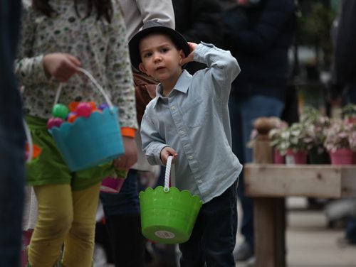 Three-year-old Ashton Criggar waits in line to exchange his coloured eggs for chocolate and candies at Shemerdine's first Easter Egg Hunt  event Saturday morning.   Standup photo.    April 4, 2015 Ruth Bonneville / Winnipeg Free Press.