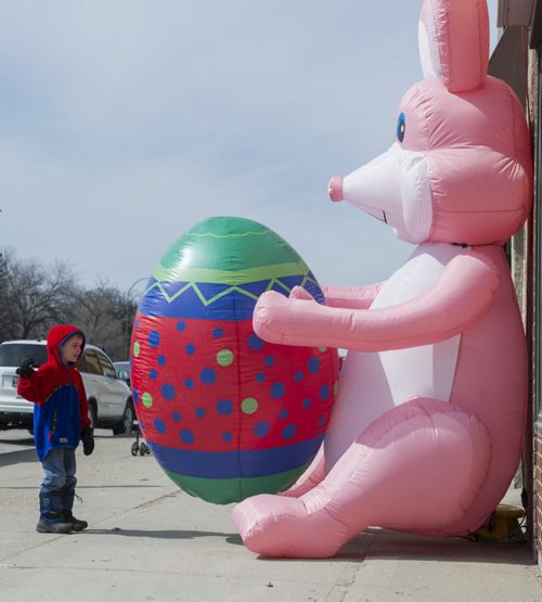 150405 Winnipeg - DAVID LIPNOWSKI / WINNIPEG FREE PRESS  Emery Klein La Berge (age 5) introduces himself to a giant inflatable easter bunny on Portage Avenue Sunday April 5, 2015.