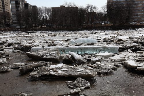 A large chunk of  crystal blue ice seems out of context  amidst the grey and black muddy waters and ice surrounding in the  Assiniboine River near the Legislative Building Tuesday afternoon.   April 7, 2015 Ruth Bonneville / Winnipeg Free Press.