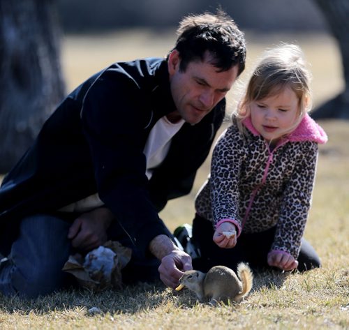 Andre and his daughter Lily, 4, feeding a Prairie Dog in Assiniboine Park, Saturday, April 11, 2015. (TREVOR HAGAN/WINNIPEG FREE PRESS)