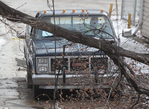 Waiting for Hydro- Two occupants inside a pickup truck in the back-lane of Sherbrook St  ( 800 block) wait for Hydro crews to unhook live hydro wire after they were dragged on top of their vehicle after a large branch fell-  Breaking News- Apr 21, 2015   (JOE BRYKSA / WINNIPEG FREE PRESS)