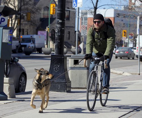 LOCAL -  In brisk weather, a cyclist and dog whizz past the University of Winnipeg. No ID given to photog. BORIS MINKEVICH/WINNIPEG FREE PRESS APRIL 22, 2015