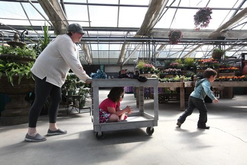 49.8 Feature page on Gardening.  Photos taken at Shelmerdine Garden Centre.  Six-year-old Mya Rhyse enjoys a ride at the bottom of a cart while her brother Richard, 4 years rides and runs in front while mom Tracy enjoys an afternoon browsing through the greenhouse recently.   Ruth Bonneville / Winnipeg Free Press April 21, 2015