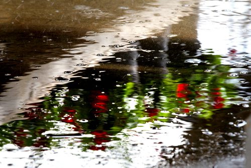 49.8 Feature page on Gardening.  Photos taken at Shelmerdine Garden Centre.  Flowers are reflected in the water on the concrete floor after watering rows of flowers in Shelmerdine's greenhouse recently.    Ruth Bonneville / Winnipeg Free Press April 21, 2015