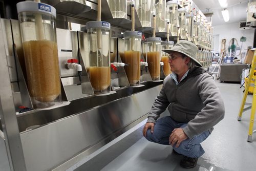 Brian Parker- Manager Fisheries Province of Manitoba looks at walleye eggs at the  Whiteshell Fish Hatchery  The Eggs are agitated and kept warm in these tubes until they hatch-  See Owen/Bryksa 49.8 Fish feature- Apr 28, 2015   (JOE BRYKSA / WINNIPEG FREE PRESS)