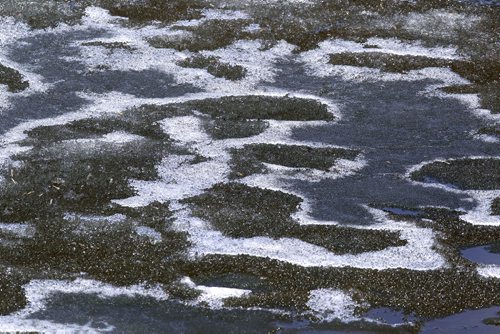 Ice is melted at Grand Beach, east side of Lake Winnipeg. BORIS MINKEVICH/WINNIPEG FREE PRESS APRIL 29, 2015