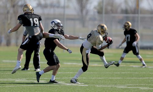 University of Manitoba Bisons Shai Ross (8) tries to come down with a difficult catch during spring camp, Sunday, May 3, 2015. (TREVOR HAGAN/WINNIPEG FREE PRESS)