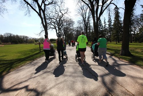A group of moms push their babies in strollers while walking together during training class.  See below for more info.
49.8 Certified post and pre natal trainer, Cindy Miller (front of crowd, red hair with pony tail) hosts workout sessions for new moms at Assiniboine park recently.  Classes last 45 - 50 minutes - moms walk vigorously for 5 minutes with their strollers, then pause to do lunges, step-ups, etc. for 5 minutes, then walk again, stop again until meeting back at the starting point, the pavilion, to do a cool down stretch.    See story Dave Sanderson's story. May 01, 2015 Ruth Bonneville / Winnipeg Free Press