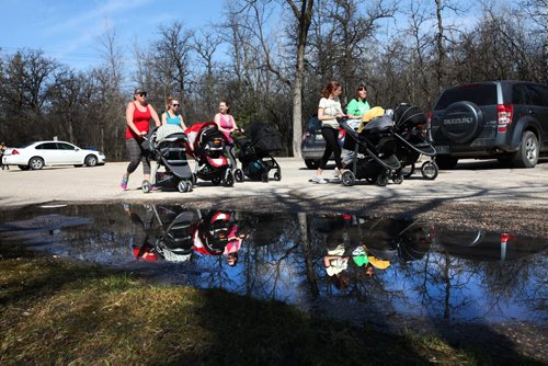 Moms with their babies in their strollers are reflected in a pool of standing water while walking in class.  See below for more info on the class. 
49.8 Certified post and pre natal trainer, Cindy Miller (front of crowd, red hair with pony tail) hosts workout sessions for new moms at Assiniboine park recently.  Classes last 45 - 50 minutes - moms walk vigorously for 5 minutes with their strollers, then pause to do lunges, step-ups, etc. for 5 minutes, then walk again, stop again until meeting back at the starting point, the pavilion, to do a cool down stretch.    See story Dave Sanderson's story. May 01, 2015 Ruth Bonneville / Winnipeg Free Press