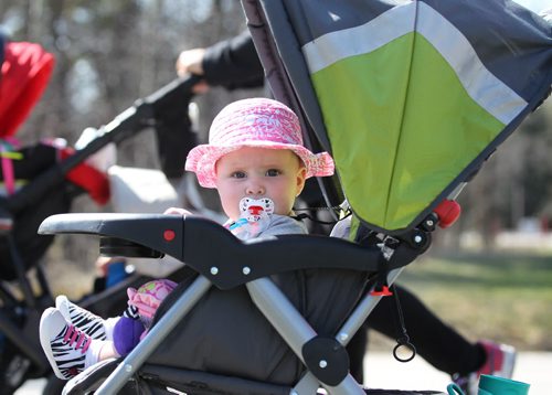 8-month-old Georgia Giesbrecht sucks on her soother while being pushied in her stroller by her mom, Joelene, during the stroller training workout at Assinibone Park. 


49.8 Certified post and pre natal trainer, Cindy Miller (front of crowd, red hair with pony tail) hosts workout sessions for new moms at Assiniboine park recently.  Classes last 45 - 50 minutes - moms walk vigorously for 5 minutes with their strollers, then pause to do lunges, step-ups, etc. for 5 minutes, then walk again, stop again until meeting back at the starting point, the pavilion, to do a cool down stretch.    See story Dave Sanderson's story. May 01, 2015 Ruth Bonneville / Winnipeg Free Press