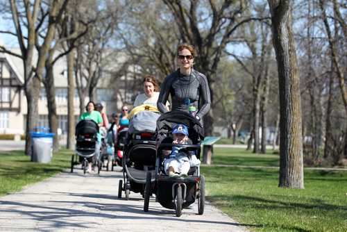 49.8 Certified post and pre natal trainer, Cindy Miller (front of crowd, red hair with pony tail) is first in line as she heads out on a workout sessions for new moms at Assiniboine park recently. Classes last 45 - 50 minutes - moms walk vigorously for 5 minutes with their strollers, then pause to do lunges, step-ups, etc. for 5 minutes, then walk again, stop again until meeting back at the starting point, the pavilion, to do a cool down stretch. See story Dave Sanderson's story. May 01, 2015 Ruth Bonneville / Winnipeg Free Press