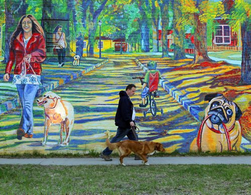 LOCAL/STANDUP - Wolseley resident Richard Kruk walks his 1 year old Nova Scotia duck tolling retriever named Ridley down Ruby Street. The mural called painted by Sarah Collard called 'Walk Through the Seasons' depicts the common activity in the neighbourhood and is painted on the side of Best Way Foods at the corner of Wolesely and Ruby.  BORIS MINKEVICH/WINNIPEG FREE PRESS May 6, 2015