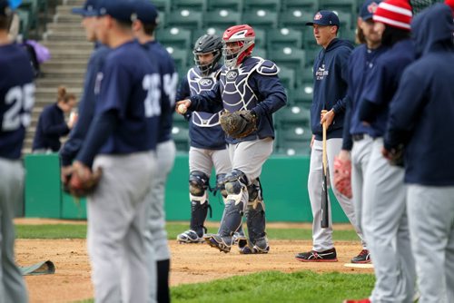 Goldeyes practice bunting the ball  during Spring Training at Shaw Park Saturday afternoon.   May 09, 2015 Ruth Bonneville / Winnipeg Free Press