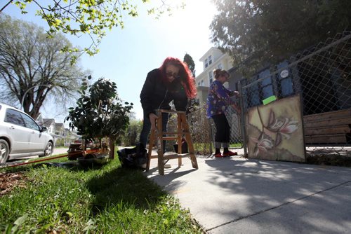 Suzanne Ayres checks out small ladder  sitting on a curb in Wolsely Saturday for the free weekend giveaway event that is on this weekend.   May 09, 2015 Ruth Bonneville / Winnipeg Free Press