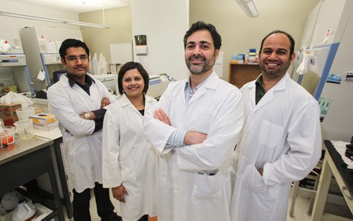 University of Manitoba Professor Afshin Raouf (second from right) is a researcher who specializes in isolating and assessing healthy breast cells and cancer cells. He is helped in the lab with Sumanta Chatterjee (left) a post doctorate, Pratima Basak (second from left) a post doctorate, and Vasudeva Bhat (right) a PhD Student. 150512 - Tuesday, May 12, 2015 -  (MIKE DEAL / WINNIPEG FREE PRESS)