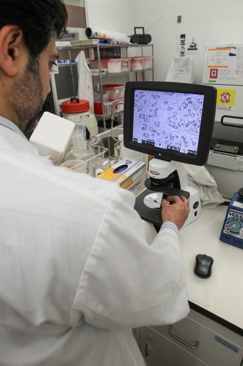 University of Manitoba Professor Afshin Raouf is a researcher who specializes in isolating and assessing healthy breast cells and cancer cells. Professor Raouf uses the microscope to view a slide with breast cells. 150512 - Tuesday, May 12, 2015 -  (MIKE DEAL / WINNIPEG FREE PRESS)