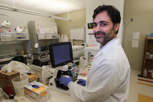 University of Manitoba Professor Afshin Raouf is a researcher who specializes in isolating and assessing healthy breast cells and cancer cells. Professor Raouf examines live breast cells that were grown in petri dishes. 150512 - Tuesday, May 12, 2015 -  (MIKE DEAL / WINNIPEG FREE PRESS)