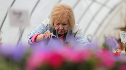 Pat Boulay, a gardener at The Jolly Green Thumb on Roblin in Headingley, makes sure the flowers are looking their best for their busy season with May long weekend just a few days away.   May 13, 2015 Ruth Bonneville / Winnipeg Free Press