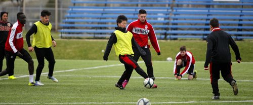 LOCAL - WSA Winnipeg, the Professional Development soccer league team in the city practice.  BORIS MINKEVICH/WINNIPEG FREE PRESS May 13, 2015