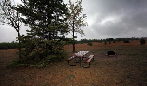 A soggy picnic site awaits visitors at Bird's Hill Park Thursday as the first big camping and parks weekend of the season is expected to be gloomy and cold. See story. May 14, 2015 - (Phil Hossack / Winnipeg Free Press)