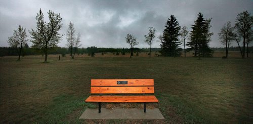 A soaked park bench sits empty at Bird's Hill Park Thursday as the first big camping and parks weekend of the season is expected to be gloomy and cold. See story. May 14, 2015 - (Phil Hossack / Winnipeg Free Press)