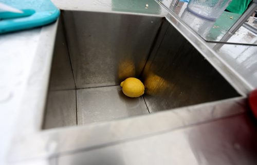 Joël Bouchard of Just a Little Squeeze said they had exepcted about half as many people at the The St.Norbert Farmers Market today and were going to run out of lemons before the market closed, May 16, 2015. (TREVOR HAGAN/WINNIPEG FREE PRESS)