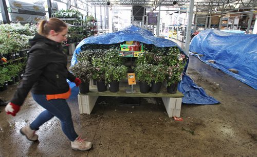 Kira Kennedy a Home Depot employee looks for an extra tarp to protect the plants with early Monday morning.  150518 May 18, 2015 Mike Deal / Winnipeg Free Press