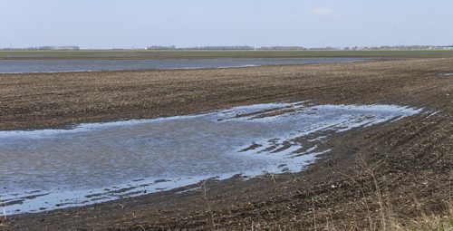 Standing water on fields along the TransCanada Highway east of Portage la Prairie Wednesday. Wayne Glowacki / Winnipeg Free Press May 20 2015