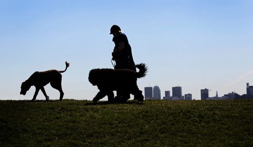 Dog owners walk their dogs along the trail at Westview Park overlooking the city Thursday morning.     May 21, 2015 Ruth Bonneville / Winnipeg Free Press