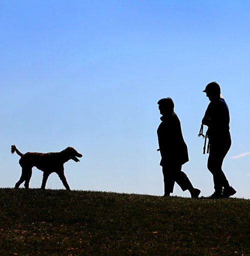 Dog owners walk their dogs along the trail at Westview Park overlooking the city Thursday morning.     May 21, 2015 Ruth Bonneville / Winnipeg Free Press
