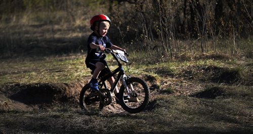 PHOTO FEATURE - Four yr old Leven Broadbent checks out a few holes after he finished two kilometers of race trail in the "kids" portion of the Wednesday evening mountain bike races at Birds Hill Bird's Hill Park. May 20, 2015 - (Phil Hossack / Winnipeg Free Press)