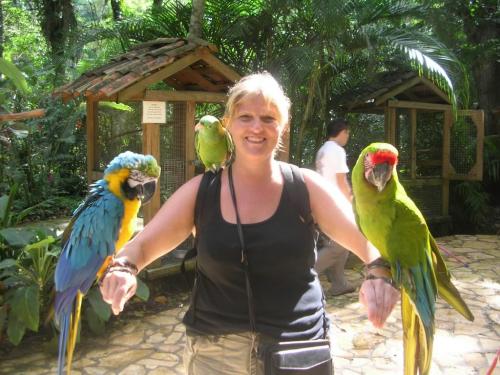 Writer Viv Draward makes friends with some macaws. The macaw is the national bird of Honduras.  Winnipeg Free Press
