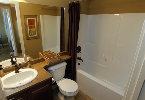 HOMES - 60 Dana Crescent in Amber Trails - bathroom upstairs..  BORIS MINKEVICH/WINNIPEG FREE PRESS May 25, 2015