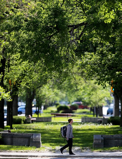 Pedestrian walking across Broadway at Hargrave, Saturday, May 30, 2015. (TREVOR HAGAN/WINNIPEG FREE PRESS)