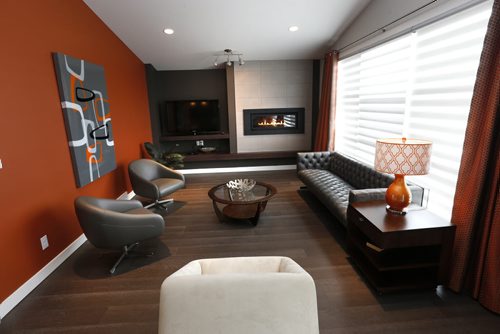 Homes.    228 Stan Bailie Drive in South Pointe. The living room. The realtor is Hilton Homes' Spencer Curtis. Todd Lewys story  Wayne Glowacki / Winnipeg Free Press June 1 2015