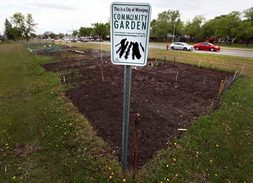 Community Garden plots on the south side of Grant ave, near Pembina Hwy Monday. See Story June 1, 2015 - (Phil Hossack / Winnipeg Free Press)