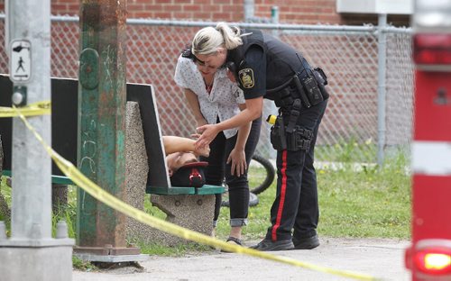 A school administrator and a police office examine a person lying on a bus bench close at the scene of a stabbing outside Kelvin High School early Tuesday afternoon. No word on his condition or why he is on the bench.  150602 June 2, 2015 Mike Deal / Winnipeg Free Press