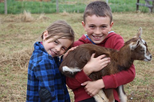 Modern homesteaders festival coming in Fraserwood   039 - 043 Hannah and Noah Percy and baby goat BILL REDEKOP/WINNIPEG FREE PRESS May 29, 2015