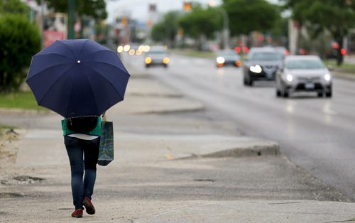 A person walks in the rain with an umbrella along Pembina Highway, Saturday, June 6, 2015. (TREVOR HAGAN/WINNIPEG FREE PRESS)