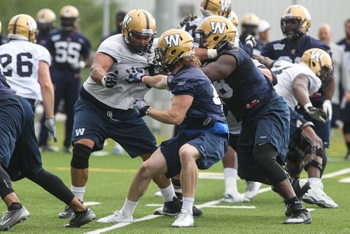 Sukh Chungh (69) tries to control two during Winnipeg Blue Bombers training camp Sunday morning. 150607 - Sunday, June 07, 2015 -  MIKE DEAL / WINNIPEG FREE PRESS