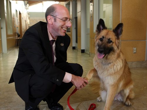 NEW CEO FOR WINNIPEG HUMANE SOCIETY - Javier Schwersensky is welcomed by Jade, a dog that is up for adoption. BORIS MINKEVICH/WINNIPEG FREE PRESS June 8, 2015