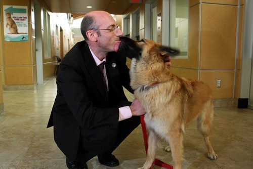 NEW CEO FOR WINNIPEG HUMANE SOCIETY - Javier Schwersensky is welcomed by Jade, a dog that is up for adoption. BORIS MINKEVICH/WINNIPEG FREE PRESS June 8, 2015