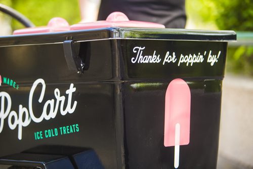 Angela Farkas and Alana Fiks showcase their freshly made popsicles in a cart at the Forks in Winnipeg on Tuesday, June 9, 2015.  The two have been in business for less than a year, but they feel that there is a niche for their refreshing sweets. Mikaela MacKenzie / Winnipeg Free Press
