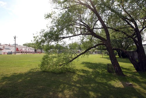 LOCAL -Some soccer fields around the city shot for story on neglect of such public areas. Bord-Aire Commnity Centre at 471 Hampton St. has some big trees that hang over and have some damage. BORIS MINKEVICH/WINNIPEG FREE PRESS June 9, 2015