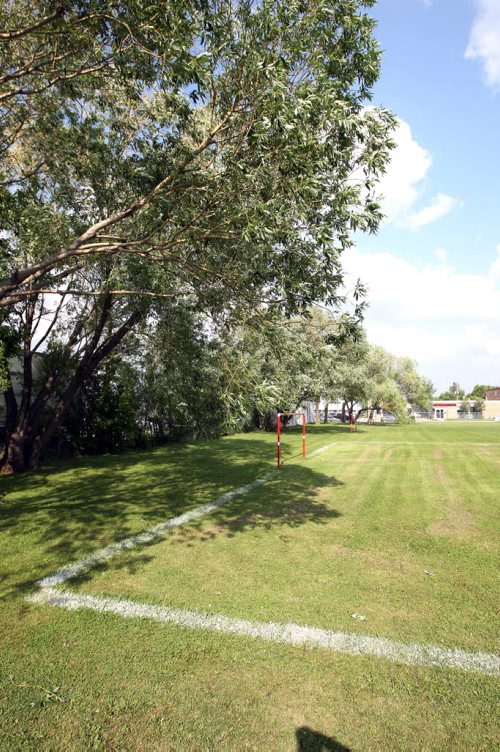 LOCAL -Some soccer fields around the city shot for story on neglect of such public areas. Bord-Aire Commnity Centre at 471 Hampton St. has some big trees that hang over and have some damage. BORIS MINKEVICH/WINNIPEG FREE PRESS June 9, 2015