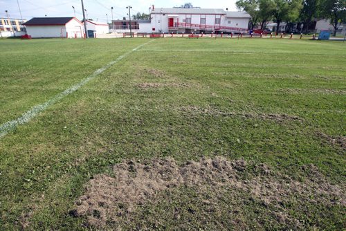 LOCAL -Some soccer fields around the city shot for story on neglect of such public areas. Bord-Aire Commnity Centre at 471 Hampton St. has some big trees that hang over and have some damage. BORIS MINKEVICH/WINNIPEG FREE PRESS June 9, 2015