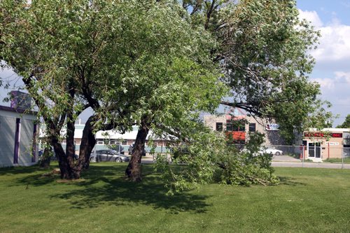 LOCAL -Some soccer fields around the city shot for story on neglect of such public areas. Bord-Aire Commnity Centre at 471 Hampton St. has some big trees that hang over and have some damage. BORIS MINKEVICH/WINNIPEG FREE PRESS June 9, 2015