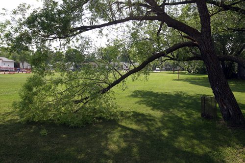 LOCAL -Some soccer fields around the city shot for story on neglect of such public areas. Bord-Aire Commnity Centre at 471 Hampton St. has some big trees that hang over and have some damage. BORIS MINKEVICH/WINNIPEG FREE PRESS June 9, 2015