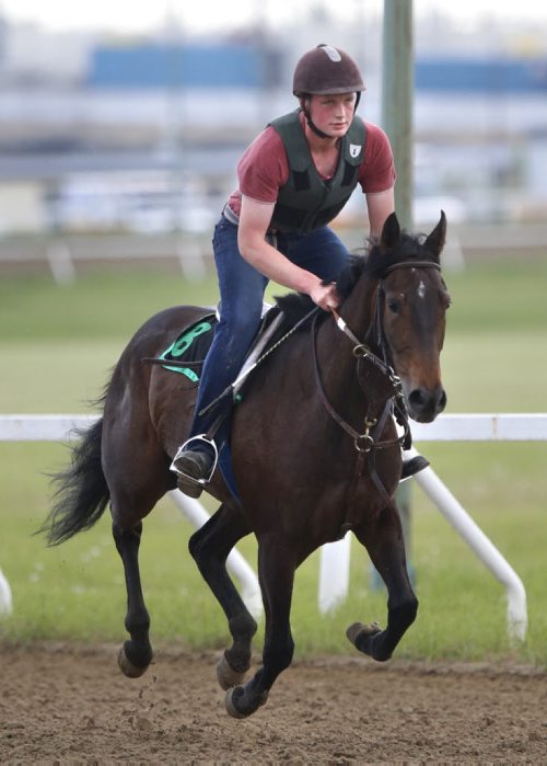 Trainer Cole Bennet rides Super Me on a workout on the track at the Assiniboia Downs Thursday morning. George Williams story. Wayne Glowacki / Winnipeg Free Press June 11 2015