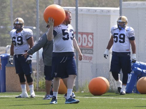 An injured #53 Patrick Neufeld helps out in a offensive line drill with # 59 Jace Daniels, OL,at right and #69  Sukh Chungh at the Winnipeg Blue Bomber camp Thursday. Ed Tait/Paul Wiecek stories. Wayne Glowacki / Winnipeg Free Press June 11 2015
